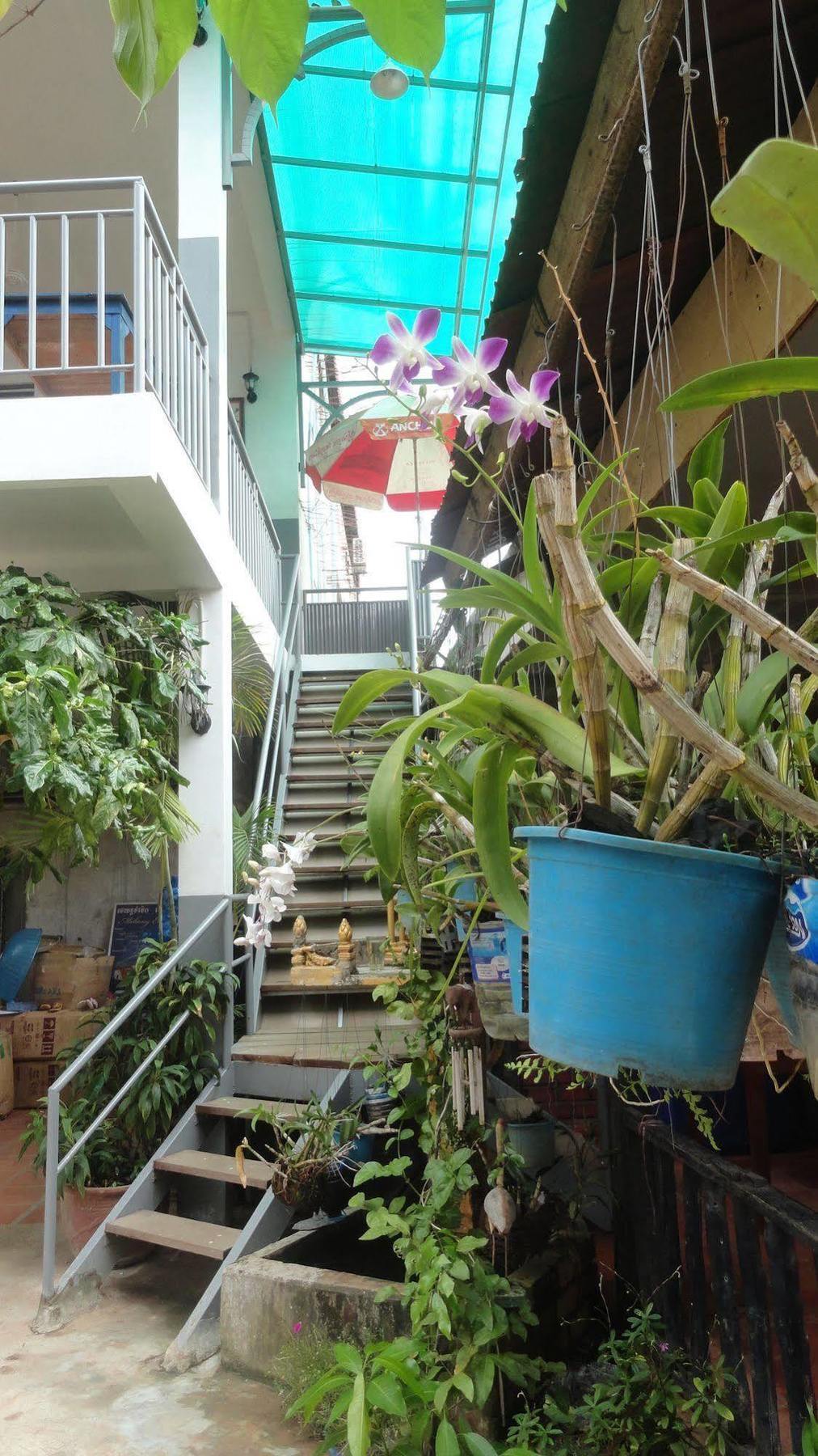 Green Park Village Guesthouse Siem Reap Eksteriør billede